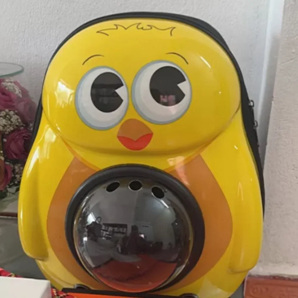 Pet carrier backpack